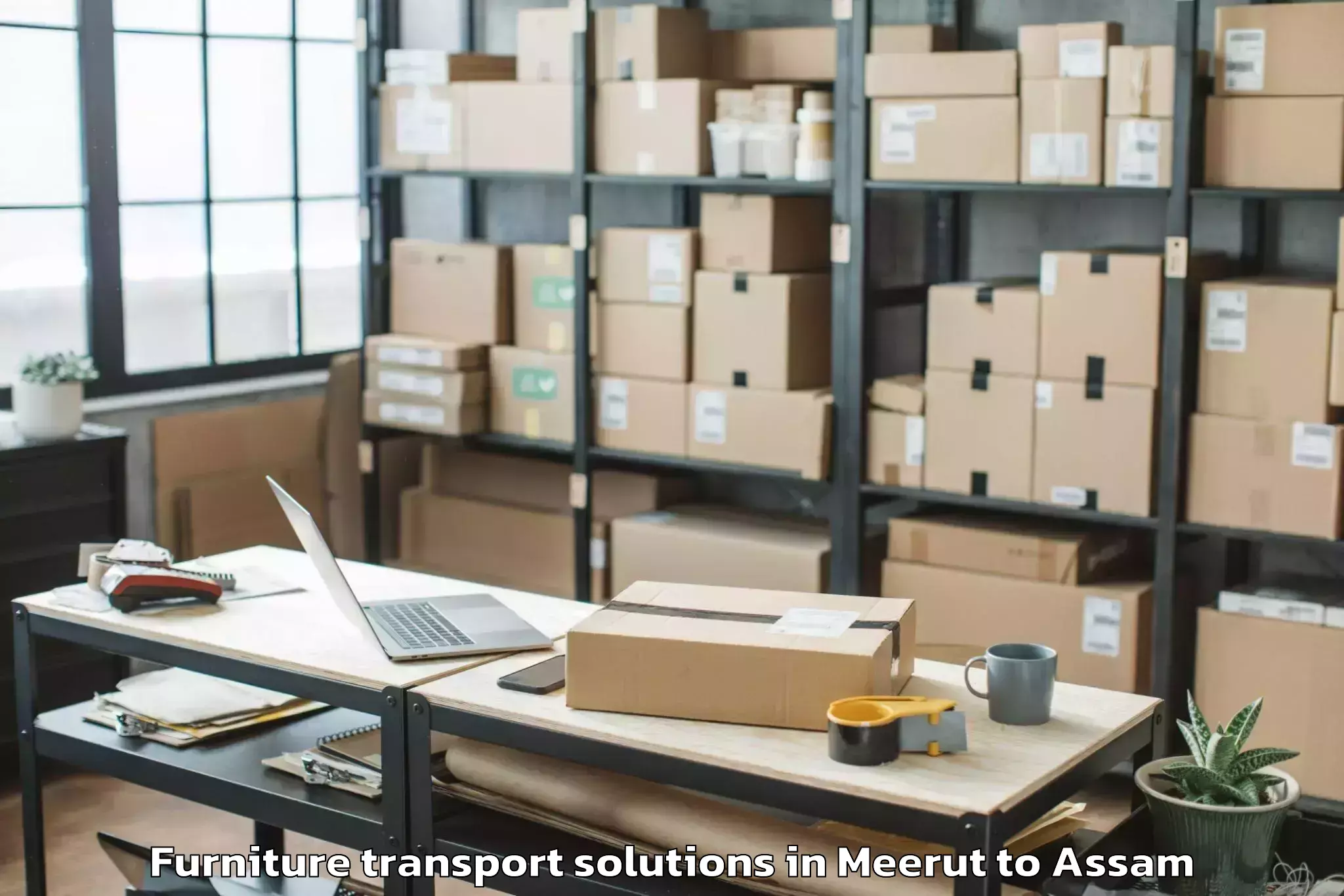 Discover Meerut to Duliajan Furniture Transport Solutions